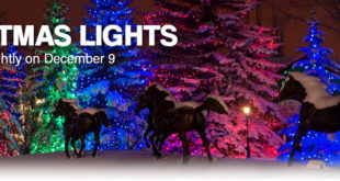 Dic 7-2017/Ene 7-2018 Christmas Lights at Spruce Meadows