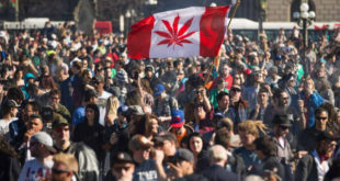 Tras un siglo de prohibición, Canadá legaliza la marihuana con uso recreativo