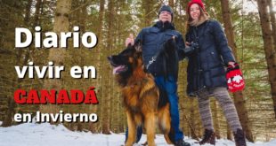 Diario VIVIR EN CANADÁ en Invierno 🇨🇦 | Tour de BARRIOS Canadienses + INMOBILIARIA en Toronto