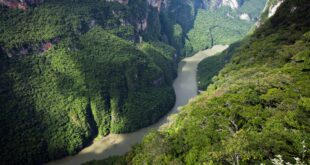 Wild Mexico Discovering the Country's Breathtaking Biodiversi
